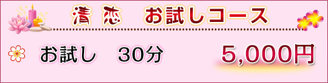 「料金システム」